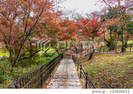もみじに彩られた三室山の登山道 133636612