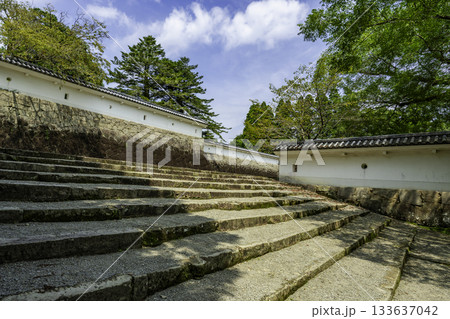 飫肥城　枡形虎口　宮崎県日南市 133637042