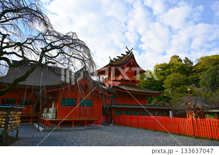 富士山本宮浅間大社　本殿　富士宮市 133637047