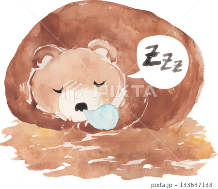 冬眠するクマの水彩イラスト ベクター 冬眠するクマの水彩イラスト ベクター 133637138