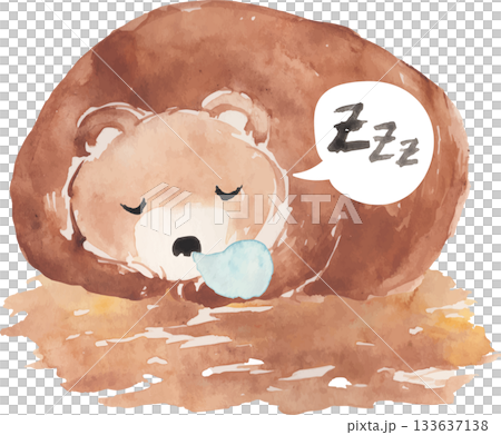 冬眠するクマの水彩イラスト ベクター 冬眠するクマの水彩イラスト ベクター 133637138
