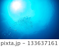 海中から見上げた空　小笠原 133637161