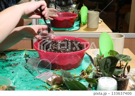 Training event focusing on soil handling in plant multiplication strategies Training event focusing on soil handling in plant multiplication strategies 133637400