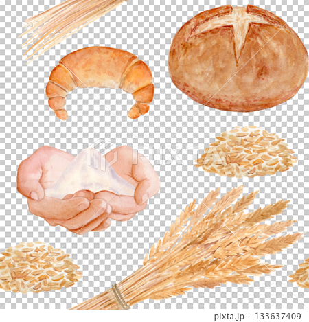 Crescent roll, round bread, wheat grains, wheat bundle. Seamless watercolor pattern on white background. Perfect for bakery packaging, kitchen textiles, menu, wrapping paper, rustic food branding Crescent roll, round bread, wheat grains, wheat bundle. Seamless watercolor pattern on white background. Perfect for bakery packaging, kitchen textiles, menu, wrapping paper, rustic food branding 133637409