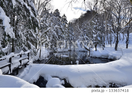 神秘的な佇まいを見せる冬の神の子池 神秘的な佇まいを見せる冬の神の子池 133637418