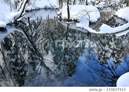 神秘的な佇まいを見せる冬の神の子池 神秘的な佇まいを見せる冬の神の子池 133637423