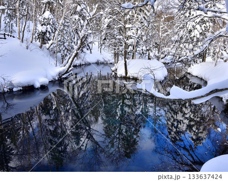 神秘的な佇まいを見せる冬の神の子池 神秘的な佇まいを見せる冬の神の子池 133637424