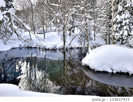 神秘的な佇まいを見せる冬の神の子池 神秘的な佇まいを見せる冬の神の子池 133637425