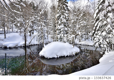 神秘的な佇まいを見せる冬の神の子池 神秘的な佇まいを見せる冬の神の子池 133637426
