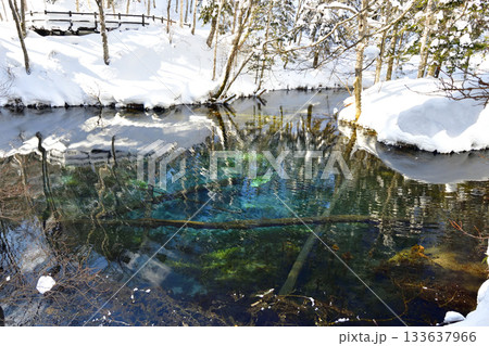 神秘的な冬の神の子池 133637966