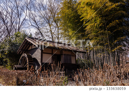 奥ゆかしく可憐に咲く花、冬の寒さに耐え、暖かく春を迎える花 133638059