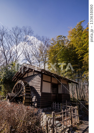 奥ゆかしく可憐に咲く花、冬の寒さに耐え、暖かく春を迎える花 133638060