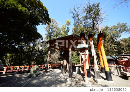 京都府 伏見稲荷大社 根上りの松 京都市伏見区深草藪之内町 2022 年 2月 京都府 伏見稲荷大社 根上りの松 京都市伏見区深草藪之内町 2022 年 2月 133638082