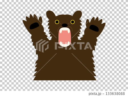 棕熊舉起爪子的插圖,白色背景 棕熊舉起爪子的插圖,白色背景 133638088