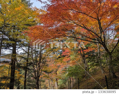 御岳渓流(名水百選)の秋 御岳渓流(名水百選)の秋 133638095
