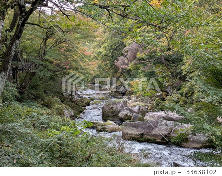 昇仙峡(特別名勝、平成の名水百選、平成百景、紅葉の名所) 昇仙峡(特別名勝、平成の名水百選、平成百景、紅葉の名所) 133638102