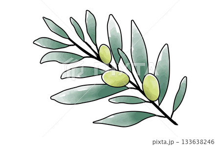手描きの水彩のシンプルなオリーブの枝のイラスト素材 Olive Branch 手描きの水彩のシンプルなオリーブの枝のイラスト素材 Olive Branch 133638246