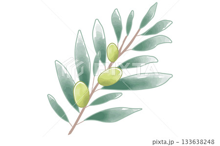 手描きの水彩のシンプルなオリーブの枝のイラスト素材 Olive Branch 手描きの水彩のシンプルなオリーブの枝のイラスト素材 Olive Branch 133638248
