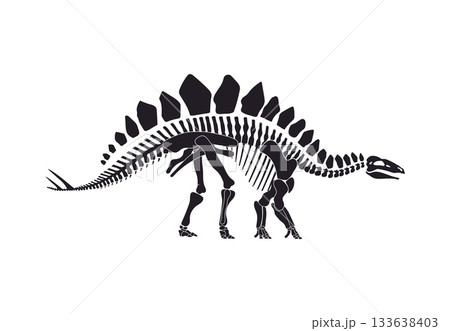 Stegosaurus dinosaur skeleton bones silhouette. Jurassic era lizard skeleton silhouette vector, prehistoric animal bones . Extinct dinosaur archaeological find or with back plates and spikes on tail 133638403