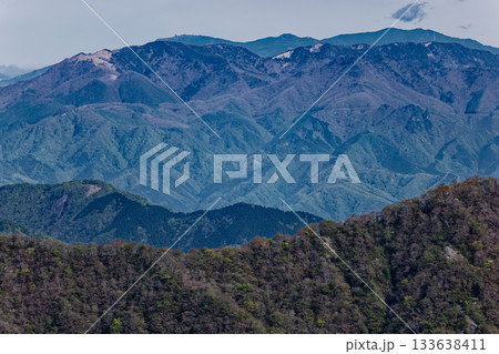 丹沢・塔ノ岳から見る大菩薩連嶺と奥秩父・金峰山 133638411