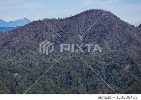 丹沢・塔ノ岳から見る檜洞丸と甲斐駒ヶ岳 133638415