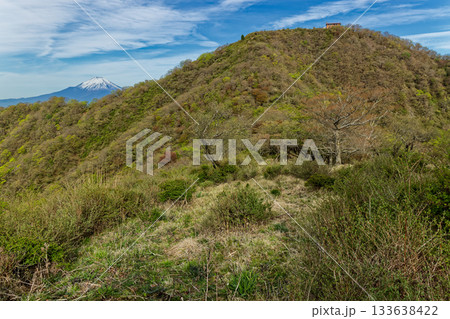 丹沢表尾根から見る新緑の塔ノ岳と残雪の富士山 133638422
