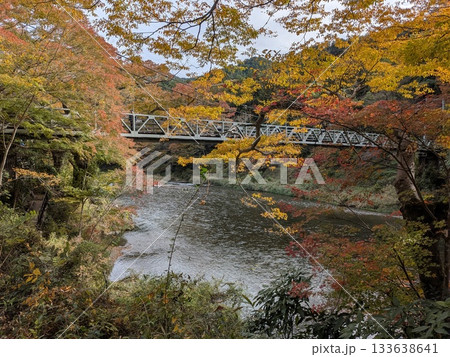 御岳渓流(名水百選)の紅葉 御岳渓流(名水百選)の紅葉 133638641