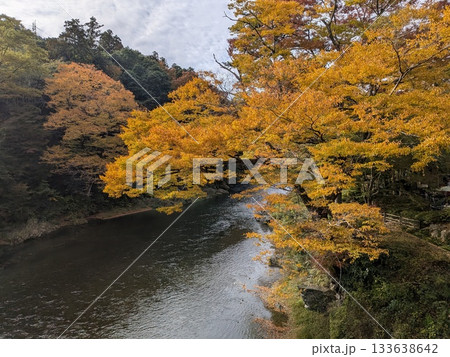 御岳渓流（名水百選）の紅葉 133638642
