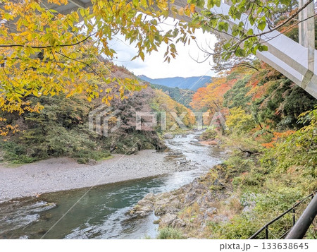 御岳渓流（名水百選）の紅葉 133638645
