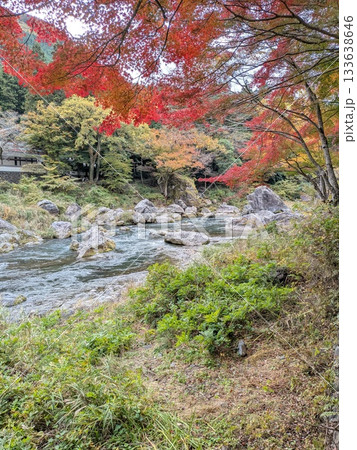 御岳渓流（名水百選）の紅葉 133638646