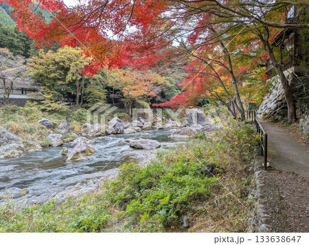 御岳渓流（名水百選）の紅葉 133638647