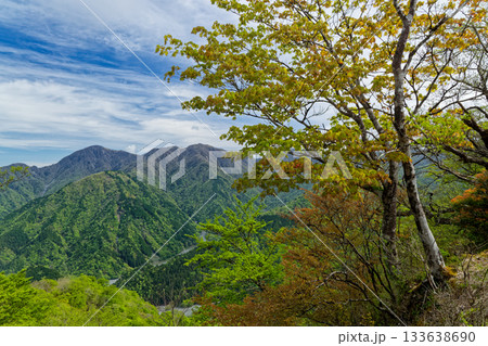 新緑の丹沢・鍋割山稜から見る蛭ヶ岳 新緑の丹沢・鍋割山稜から見る蛭ヶ岳 133638690