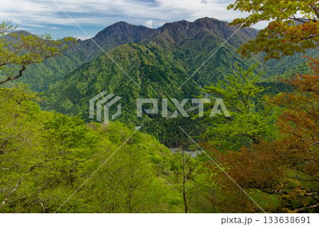 新緑の丹沢・鍋割山稜から見る蛭ヶ岳 133638691