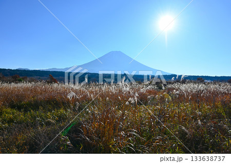 富士山　青木ヶ原樹海 133638737