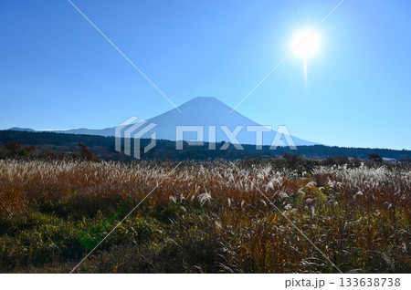 富士山　青木ヶ原樹海 133638738