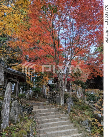 御岳山（武蔵御嶽神社）の紅葉 133638770