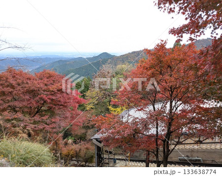 御岳山（御岳登山ケーブルカー付近）の紅葉 133638774