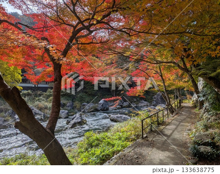 御岳渓流(名水百選)の紅葉 御岳渓流(名水百選)の紅葉 133638775