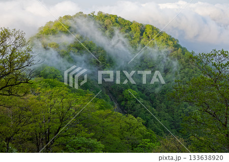 丹沢・檜洞丸稜線から見る雲湧く新緑の石棚山 丹沢・檜洞丸稜線から見る雲湧く新緑の石棚山 133638920