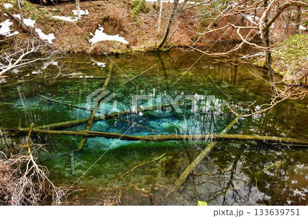 雪が残る早春の神の子池 雪が残る早春の神の子池 133639751