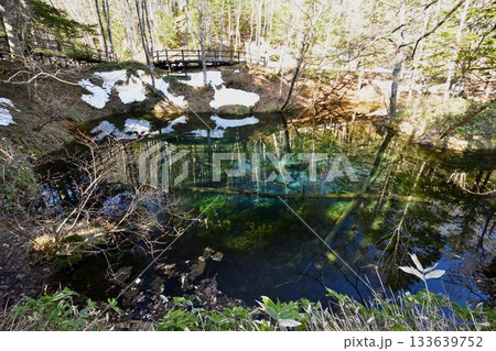 雪が残る早春の神の子池 雪が残る早春の神の子池 133639752