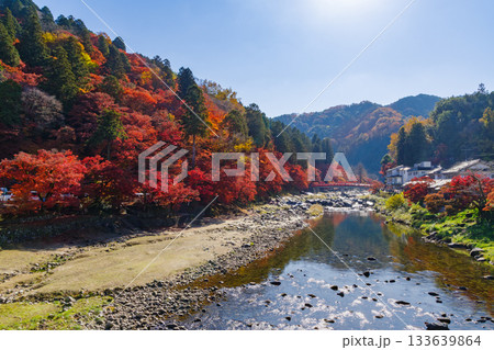 香嵐渓の紅葉と巴川(愛知県j豊田市足助町) 香嵐渓の紅葉と巴川(愛知県j豊田市足助町) 133639864
