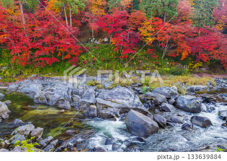 香嵐渓の紅葉と巴川（愛知県j豊田市足助町） 133639884