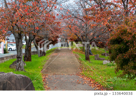 奈良県・竜田公園の遊歩道 奈良県・竜田公園の遊歩道 133640038