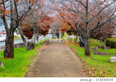 奈良県・竜田公園の遊歩道 奈良県・竜田公園の遊歩道 133640039