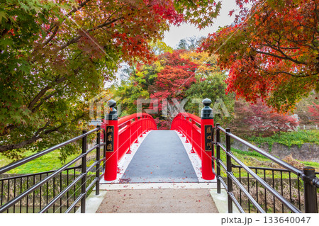 奈良県・竜田川に架かる赤い橋 133640047