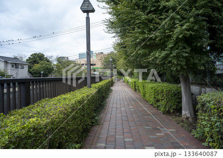 東京都北区王子付近の石神井川の風景　河川敷の遊歩道 133640087