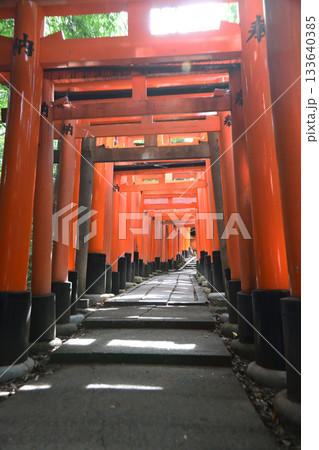伏見稲荷大社の千本鳥居(京都府) 133640385