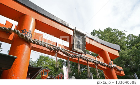 伏見稲荷大社の千本鳥居(京都府) 伏見稲荷大社の千本鳥居(京都府) 133640388