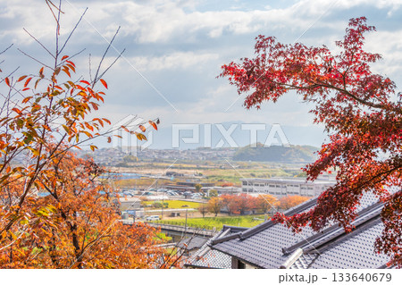奈良県・三室山のもみじ 133640679
